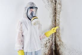 Trusted East Norwich, NY Mold Remediation Experts